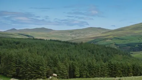 MANX SCENES View of woodland below Snaefell Mountain