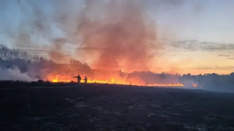 DWFRS Higher Blandford Road fire