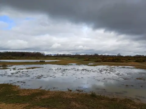 Paul Garratt  WEDNESDAY - Greenham Common today.