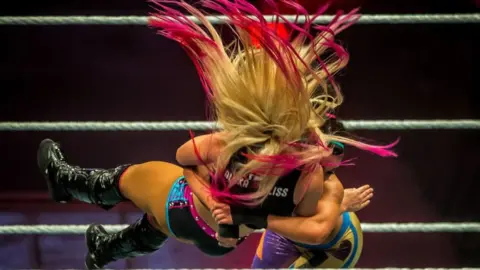 Getty Images WWE wrestling bout