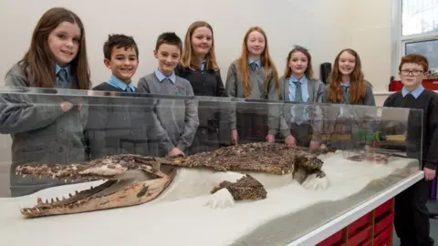Rhondda Cynon Taf Council children looking a crocodile remains