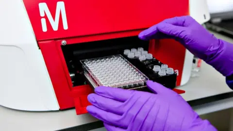 Censo Censo plans to process a minimum of 500 coronavirus diagnostic tests per day