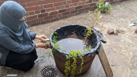 A person with a scarf covering their head and face kneels down outside tending to a large wooden basket full of water and plants
