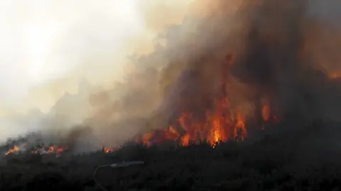 Orange flames and grey smoke on heathland. In the foreground are onlooking families and cars in a car park.