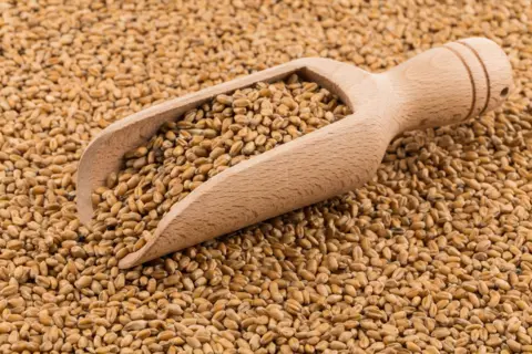 Getty Images A wooden scooper is sitting in a large container of grain.