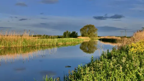 Daves Patch/BBC Weather Watcher A river running through flat countryside near Yaxley. The water is blue and fringed with reeds and other plants, with a tree and the sky reflected in the still water. 