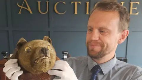 An auctioneer in white gloves holds up the taxidermy head of a thylacine mounted on a wooden shield and with yellow googly eyes