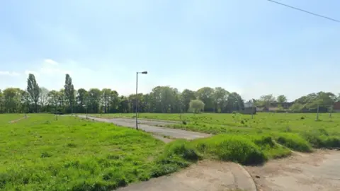 Area of grassland with paths lined with street lights cutting across. There are large trees in the background