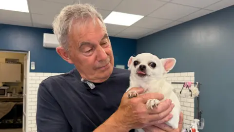 A man stands in a dog-grooming parlour holding a small white chihuahua dog. He has short grey hair and is wearing a black shirt. The dog has pink ears, black eyes and a pink tongue, which is poking out. The room has blue walls and white tiles.