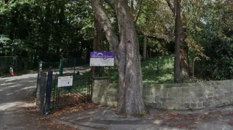 A tree lined drive, with a sign for Newman School.  There's a stoned wall around the premises with the trunk of a large tree in the foreground.