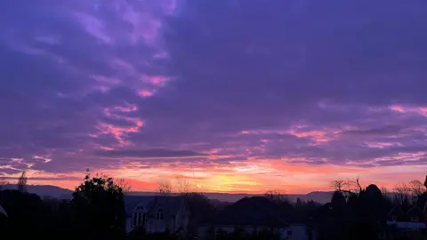 Pixie A purple sky with a hint of purple as the sunrises in Kingsholm. The dark shapes of trees and houses are silhouetted in the foreground