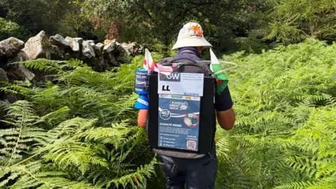 John walks away from the camera through an overgrown footpath full of ferns. He is wearing a backpack that is decorated with a Welsh flag and English flag, as well as the information on how to donate to his fundraising walk.