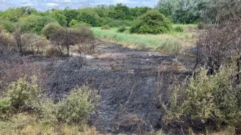 Henry Godfrey-Evans/BBC A landscape with green trees, grass and bushes but with a large smear of blackened land in the centre where the fire has torn through