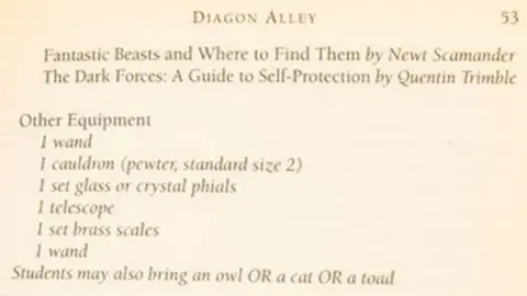 Hansons Page from Harry Potter first edition