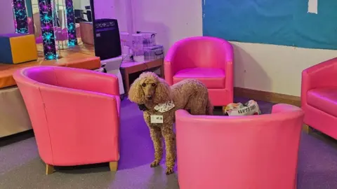 Katia Stanford Ruby stood in the middle of four pink soft chairs