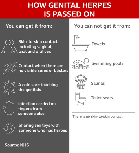 A graphic with information from NHS on how genital herpes is passed on (sex, contact, cold sore touching genitals, infection on fingers, sharing sex toys) and how it is not passed on (towels, swimming pools, saunas, toilet seats)