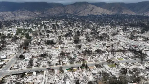 Getty Images An aerial image shows the complete devastation to a community in Los Angeles after fires levelled a neighbourhood. Blocks and blocks of homes are now scattered debris. The mountains, where the blaze is reported to have started, stand in the distance. 