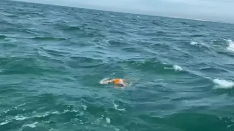 Swimmer in the English Channel