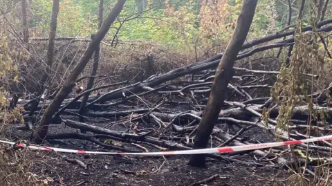 A patch of scorched earth and blackened, bare tree branches, surrounded by a cordon of red and white tape.