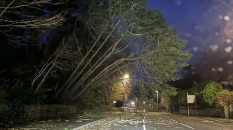 IOM CONSTABULARY A tree overhanging Peel Road during the early morning. There is a lot of debris on the main road and there are no cars.