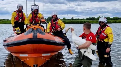 Wildlife Rescue/Zena A lifeboat team in an orange boat with one man holding the swan as they take it from the water