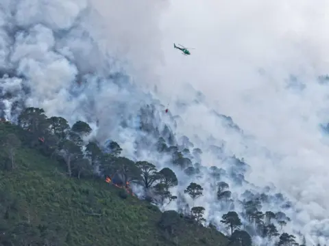 Graham Niven A green hillside with trees in the bottom left of the picture, with more trees engulfed in smoke above them and a helicopter dropping water on the fire