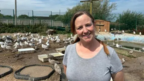 A woman with a grey t-shirt and brown hair tied back into a low ponytail stands in front a seagull enclosure. In the background, groups of gulls gather around large feeding trays.