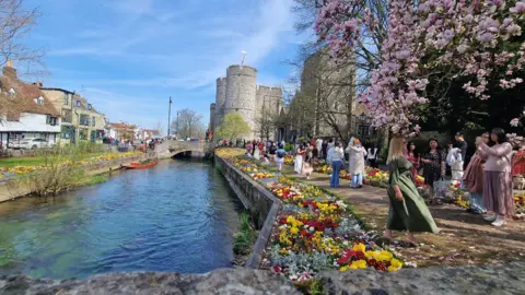 BBC/JULIA ABBOTT A long view of the flower beds, with scores of people walking beside them and Westgate Towers in the background, and the River Stour beside it.