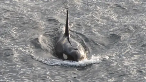Ocra off Dunnet Head