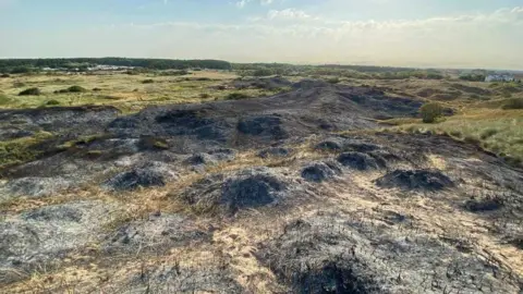 Scorched sand dunes and burnt vegetation in Formby.