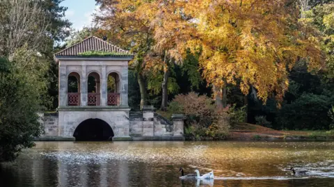 Ron Thomas Birds can be seen swimming in the lake at Birkenhead Park, with a Chinese pagoda seen in the background, along with trees.