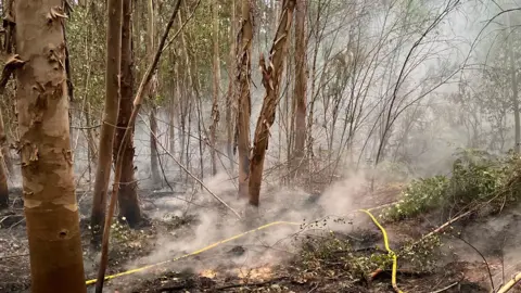 A woodland is covered in smoke with yellow pumps on the ground to help to extinguish the fire.