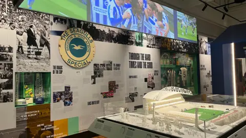 Brighton & Hove Albion gallery at the Brighton & Hove Museum. The room features a model stadium, a wall of art documenting the club's journey and raised screens which are playing archive footage of iconic games and goals from the club's past.