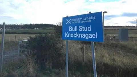 A blue sign next to the entrance to Knocknagael farm. The sign reads: Bull Stud Knocknagael.