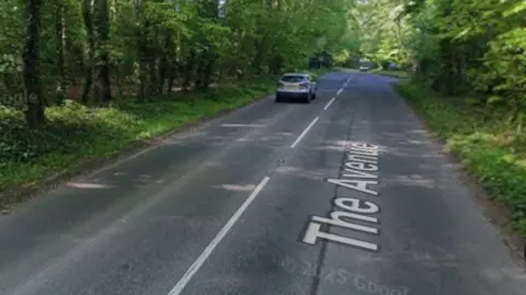 Google Maps A Google Maps image of a road with trees either side, with the words 'The Avenue' visible on the road.