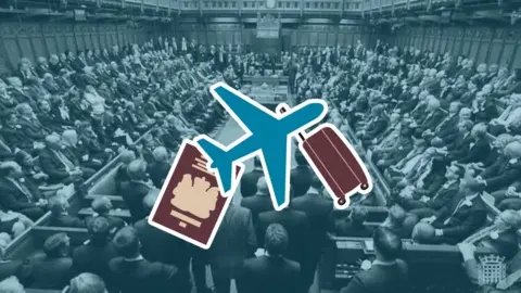 BBC Index image for how many trips your MP has accepted