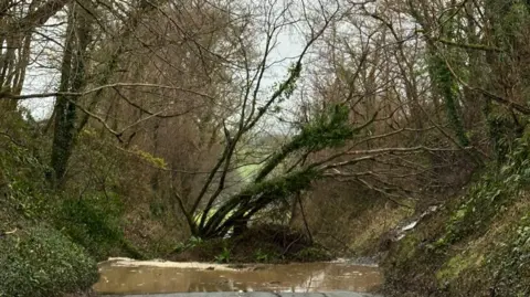 Devon and Cornwall Police A landslide including vegetation blocks a road.