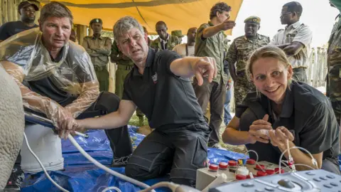 Ami Vitale Fatu is undergoing the ovum pick-up procedure performed by Robert Hermesfrom (L) , Thomas Hildebrandt (C) Susanne Holtze (R)