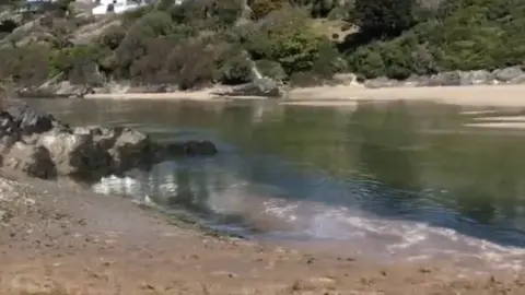 Big Green Surf School Sewage flowing into the Gannel Estuary