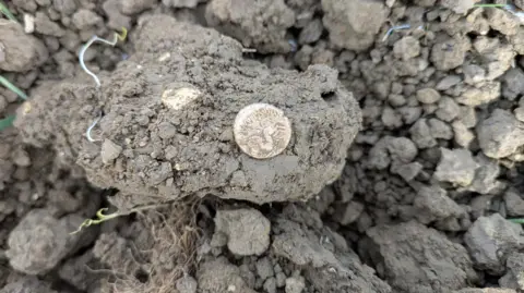 Tom Licence A coin sitting against a mound of dirt.