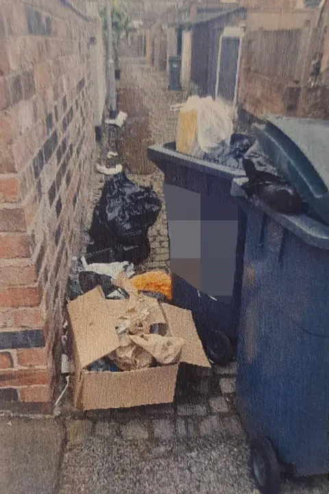 Collect/PA Real Life The cardboard box which Mr Pinter left out for collection. The box has paper inside it and is beside two wheelie bins which have bags of rubbish bulging out and are in an alley with a bag of rubbish behind the box