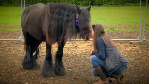 Horse therapy