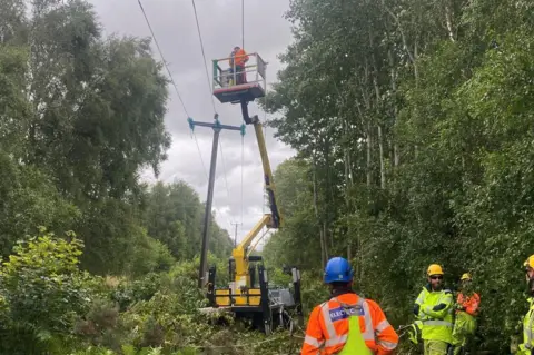 Workers repairing power lines damaged by trees.