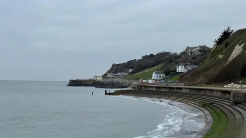 Daisybell A view along the coast at Ventnor on the Isle of Wight. The sea wall has steps down to the sea. The cliffs rise above the wall with several white buildings. The cliffs have tree and grass cover. The sky overhead is grey. 