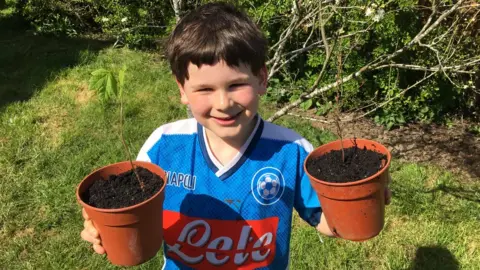 Newbury Friends of the Earth Freddie grows Rowan saplings