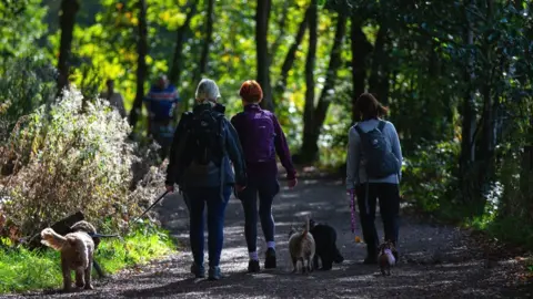 ADAM VAUGHAN/EPA-EFE/REX/Shutterstock dog walkers