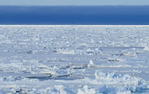 Susie Dent Weddell Sea