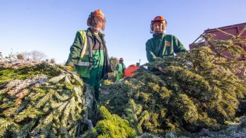 Noah's Ark Zoo workers with Christmas trees