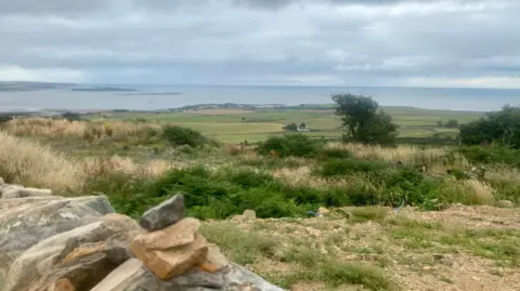 Getty Images A glorious Galloway landscape with a stone wall in the foreground, open fields, trees and a view out to the sea on a cloudy day