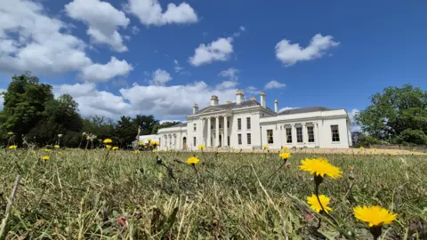 Hylands House in Hylands Park, Chelmsford. It is a large white coloured building with four white pillars in the centre in front of the main doors. There are trees either side of the building. In the foreground is grass and yellow flowers, with blue skies and white clouds above.
